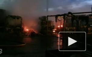 Появилось видео жуткого пожара на улице Книпович