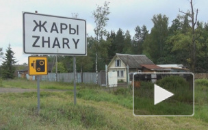 "Уровень Жары": как прибалтийские преступники воровали нефтепродукты в Ленинградской области