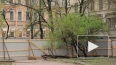В Петербурге спасен от застройки Подковыровский сад