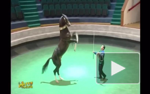 Президент Туркмении выступил в цирке на коне
