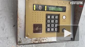 "Добродомик" собирает средства для блокадницы, которую избила сиделка