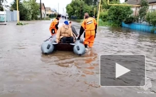 В Челябинской области спасли мужчину, пытавшегося перейти вброд затопленный участок