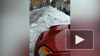 Наледь повредила машину скрипача из Мариинского театра