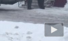 Видео: мужчина покатался верхом на живом медведе в Губкинском
