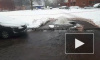 Запахло не жаренным: в Петербурге на проспекте Художников прорвало канализацию 