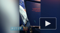 Появилось видео предложения руки и сердца от Сергея Семака