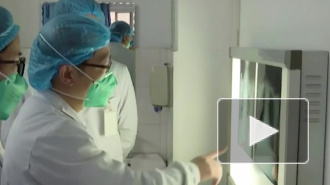 В Гонконге подтверждена передача коронавируса от человека к животному