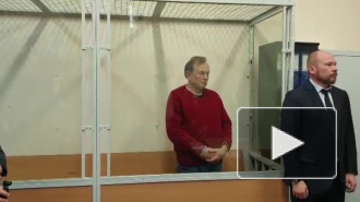 Подозреваемого в расчленении студентки Соколова арестовали на два месяца