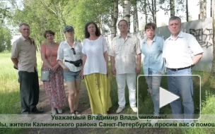 Защитники Муринского парка записали видеообращение к президенту