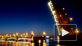 Троицкий и Биржевой мосты разведут в ночь на 24 декабря