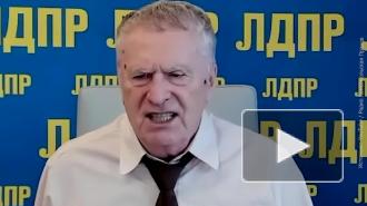 Жириновский предложил отправлять мигрантов в российские деревни