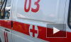 На Каменноостровском проспекте кусок лепнины зашиб девочку, школьницу увезли в больницу