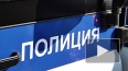 Репетитора по музыке в Петербурге подозревают в развраще ...