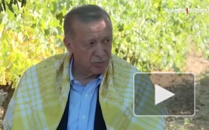 Эрдоган: Зеленский обеспокоен тем, что его много обманывают