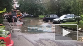 "Две беды": на Ленинском проспекте прорвало трубы и вздулся асфальт 