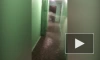 Видео: в Металлострое затопило этаж из-за прорыва пожарного гидранта