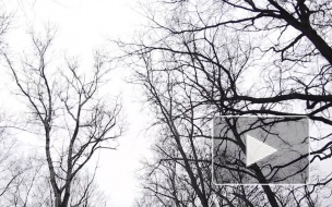 Внук Никиты Хрущёва: Мама умерла от старости