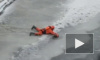 Женщина-волонтер из Петербурга спасла вмерзшую в лед утку на Обводном