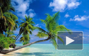 Клиентов турфирмы «Верса» заберет на родину «Турпомощь»