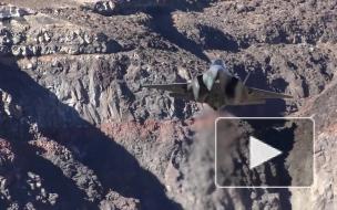 Bulgarian Military: Индия готова отказаться от покупки Су-57 в пользу F-35