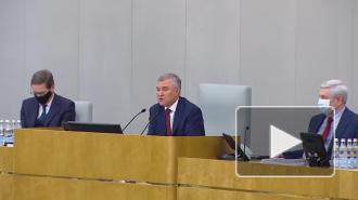 Володин: Навальному нечего делать в российских органах власти