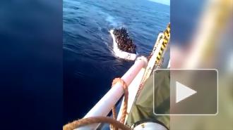 Около 14 человек погибли при крушении лодки у берегов Гаити