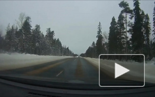 Улетели в Карелии.