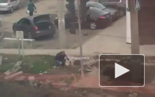Видео: наглый лысый мужик воровал тротуарную плитку в Краснодаре