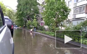 Видео: петербуржец решил прополоскать ковер в образовавшейся после дождя луже